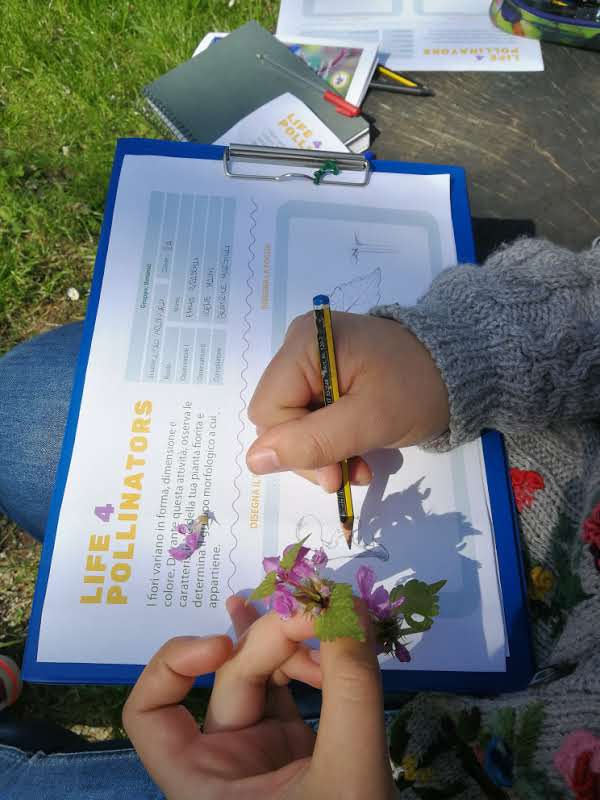 child holding plant in its hand