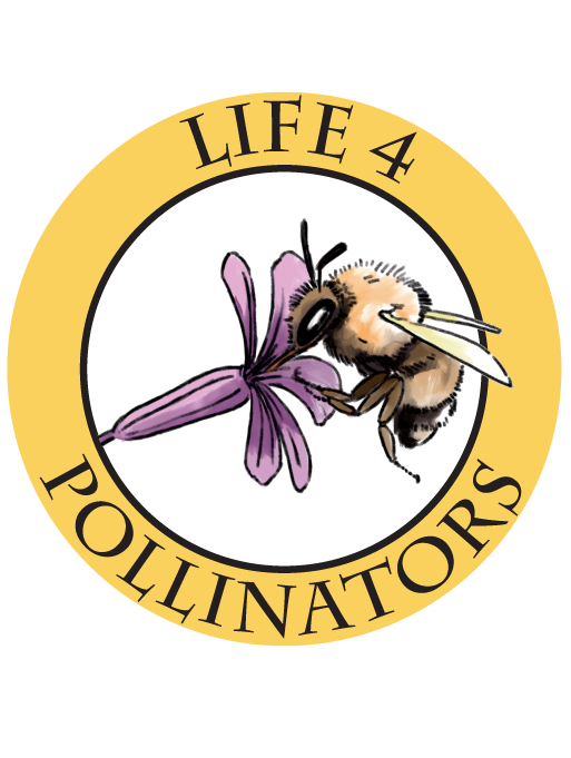 Life4pollinators logo color backdrop
