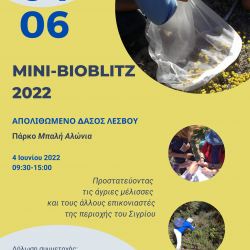 Poster Mini Bioblitz