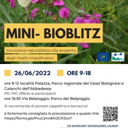 locandina bioblitz