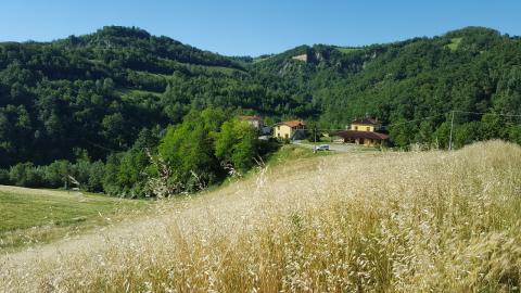 A sustainable farm with an eterogenous landscape and different crops. In the back, hills