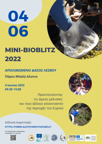 Poster Mini Bioblitz
