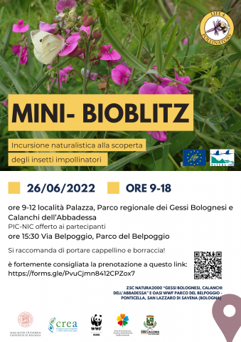 locandina bioblitz